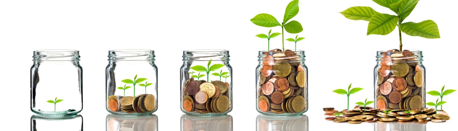 glass jars with coins and plants