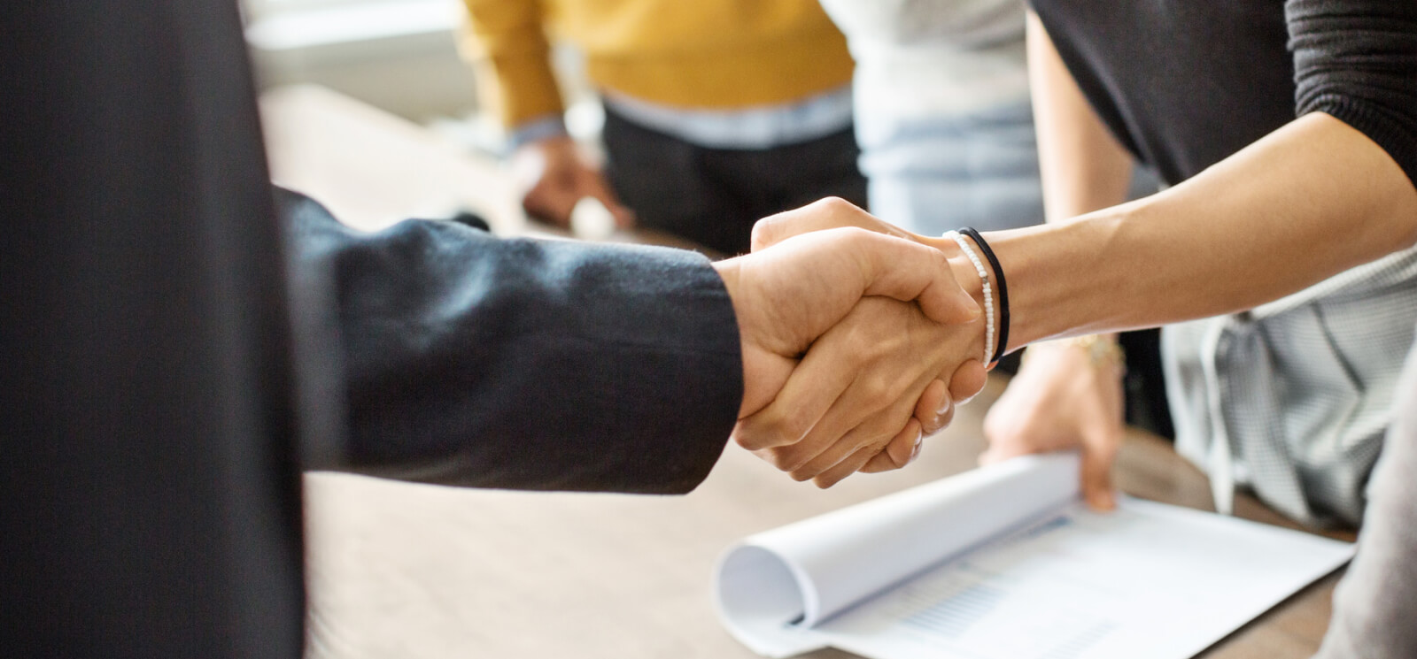 two people engaged in a handshake